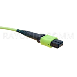 Angled view of MTP-12 UPC female connector OM5 OFNP Type B lime green patch cable