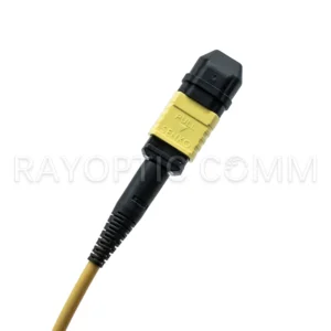 Senko SLL MPO12 APC female connector close up on singlemode G657A2 OFNP yellow patch cable Type B